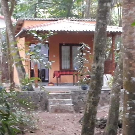 Freedom Villa Hiriketiya Dickwella Room photo